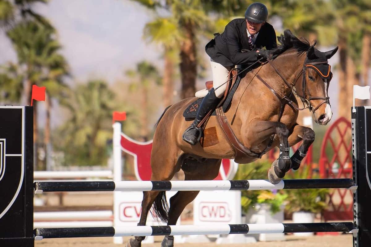 Horse Jumping